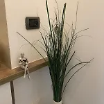 Apartman Casa Aria *