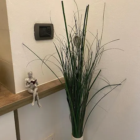 Appartement Casa Aria *